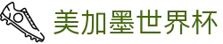 美加墨世界杯_2026世界杯赛程比分与规则导航